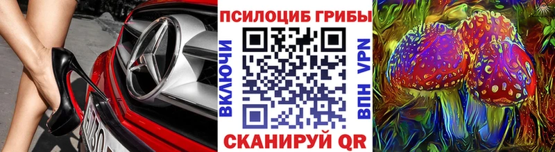 Купить закладки  Вятские Поляны  Галлюциногенные грибы GOLDEN TEACHER 